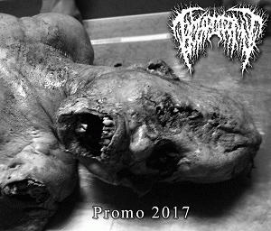 Hymenotomy : Promo 2017